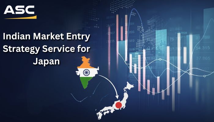 Indian Market Entry Strategy Service for Japan